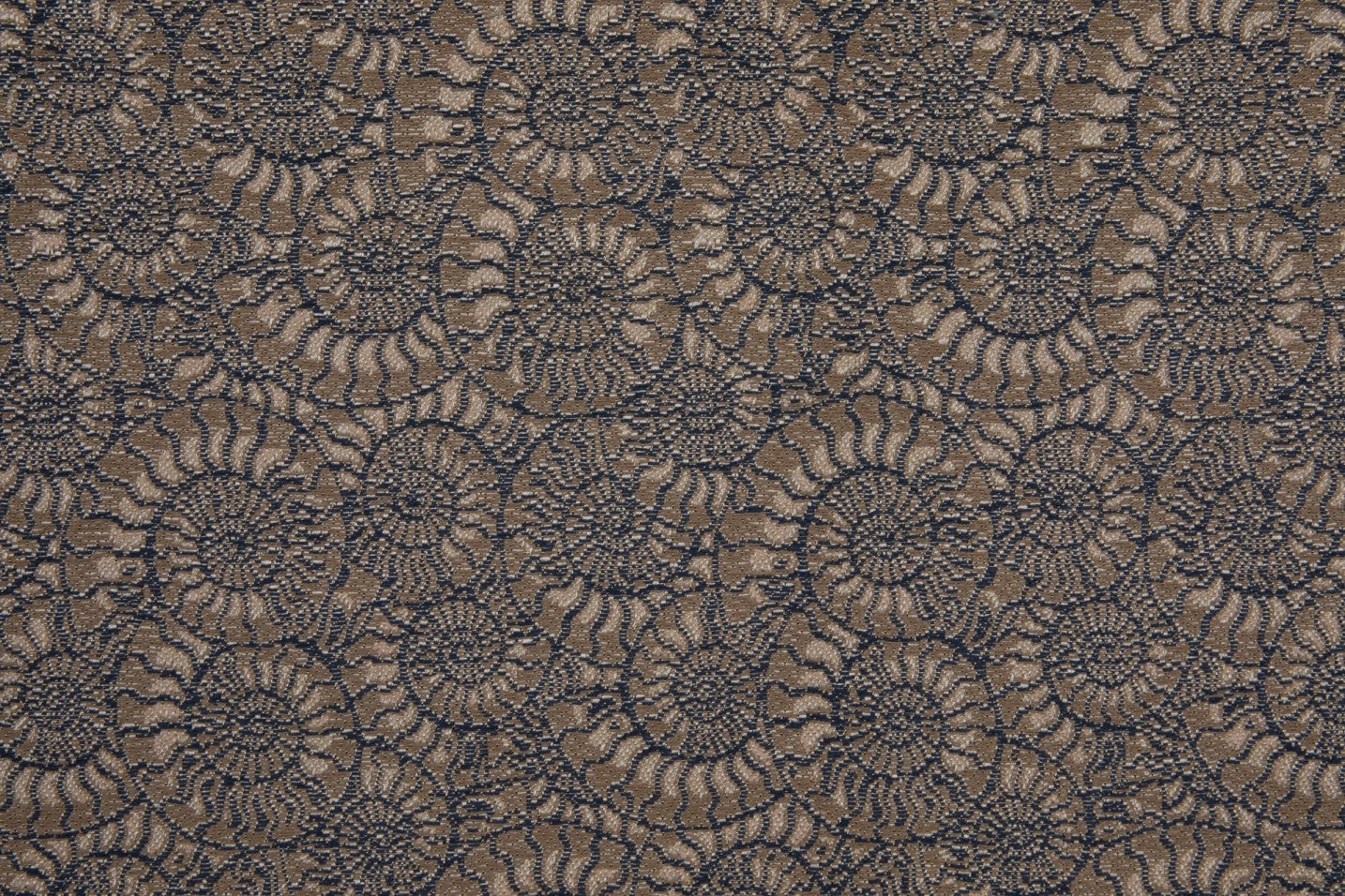 Lelièvre Paris | Ammonite