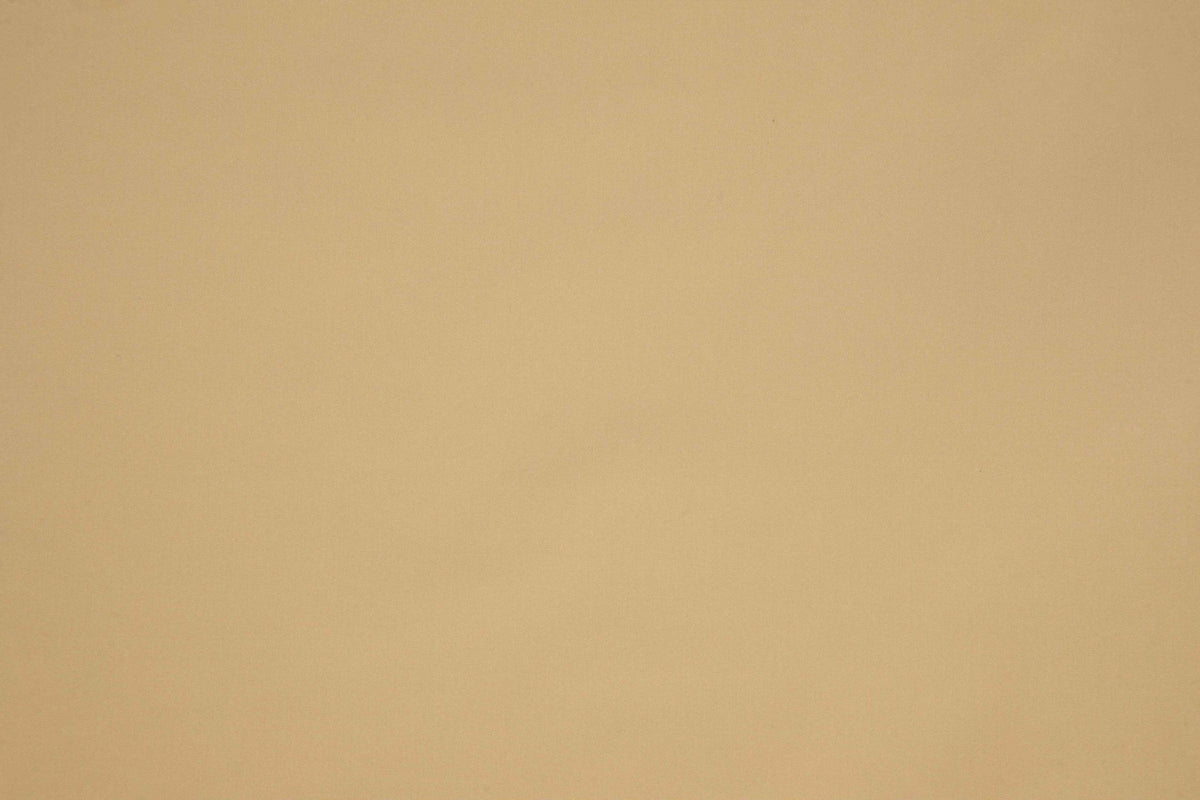 Lelievre | Frenesie 2 fabric - Sable