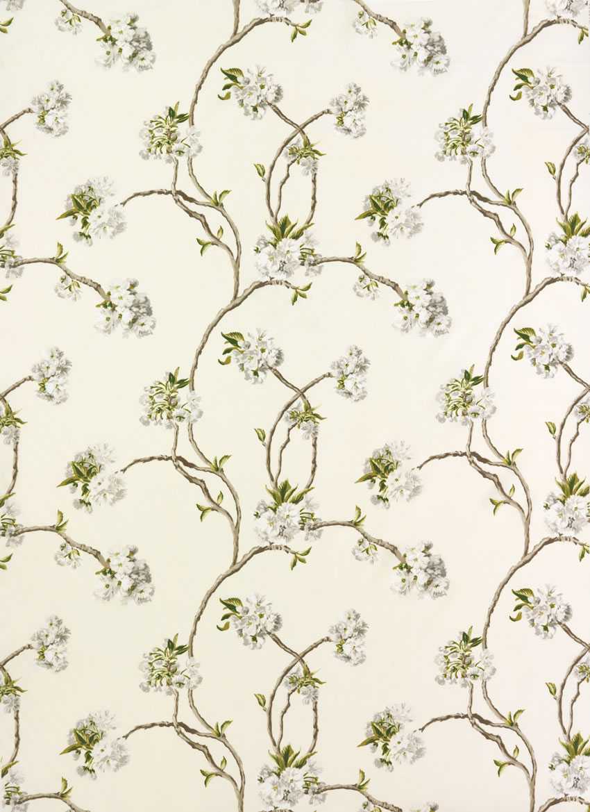 Nina Campbell | Orchard Blossom fabric - NCF3912-05