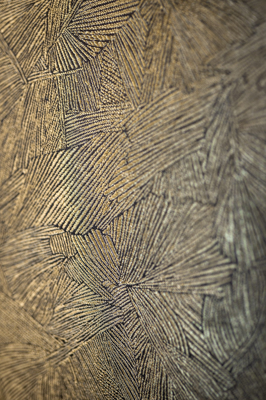 DEDAR | In Folio