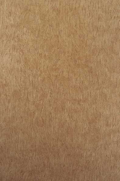 Osborne & Little | Falcon wallcovering - W6901-01