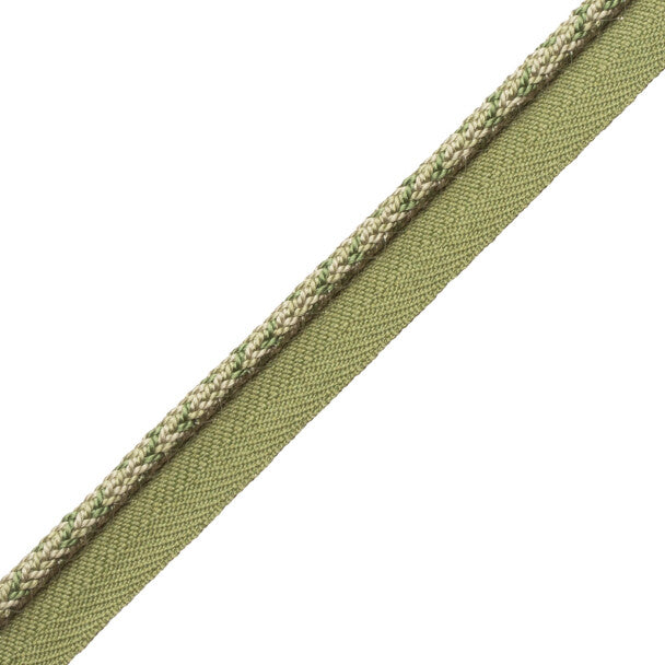 1/4" Le Jardin Silk Cord with Tape - Spearmint