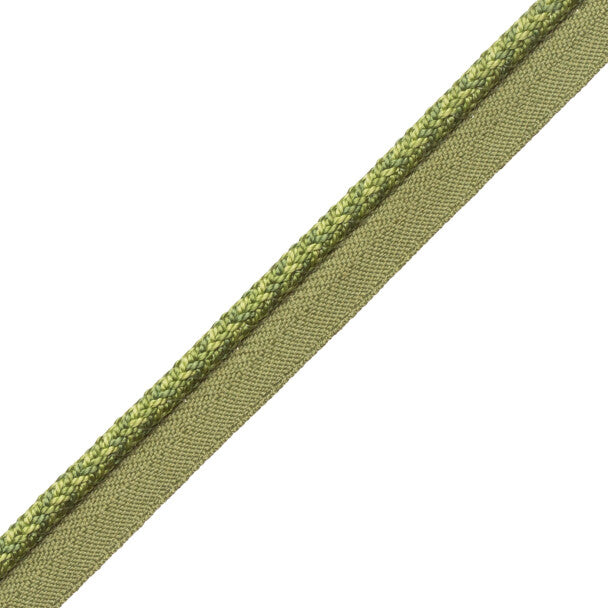 1/4" Le Jardin Silk Cord with Tape - Grass