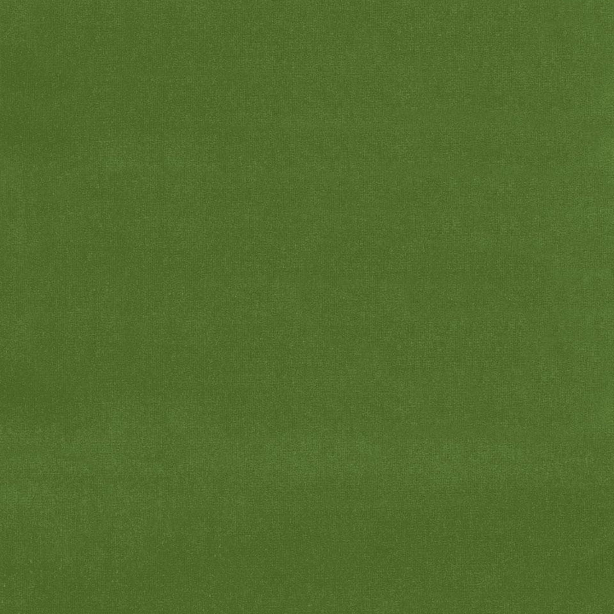 Schumacher | Gainsborough Velvet fabric - 42870