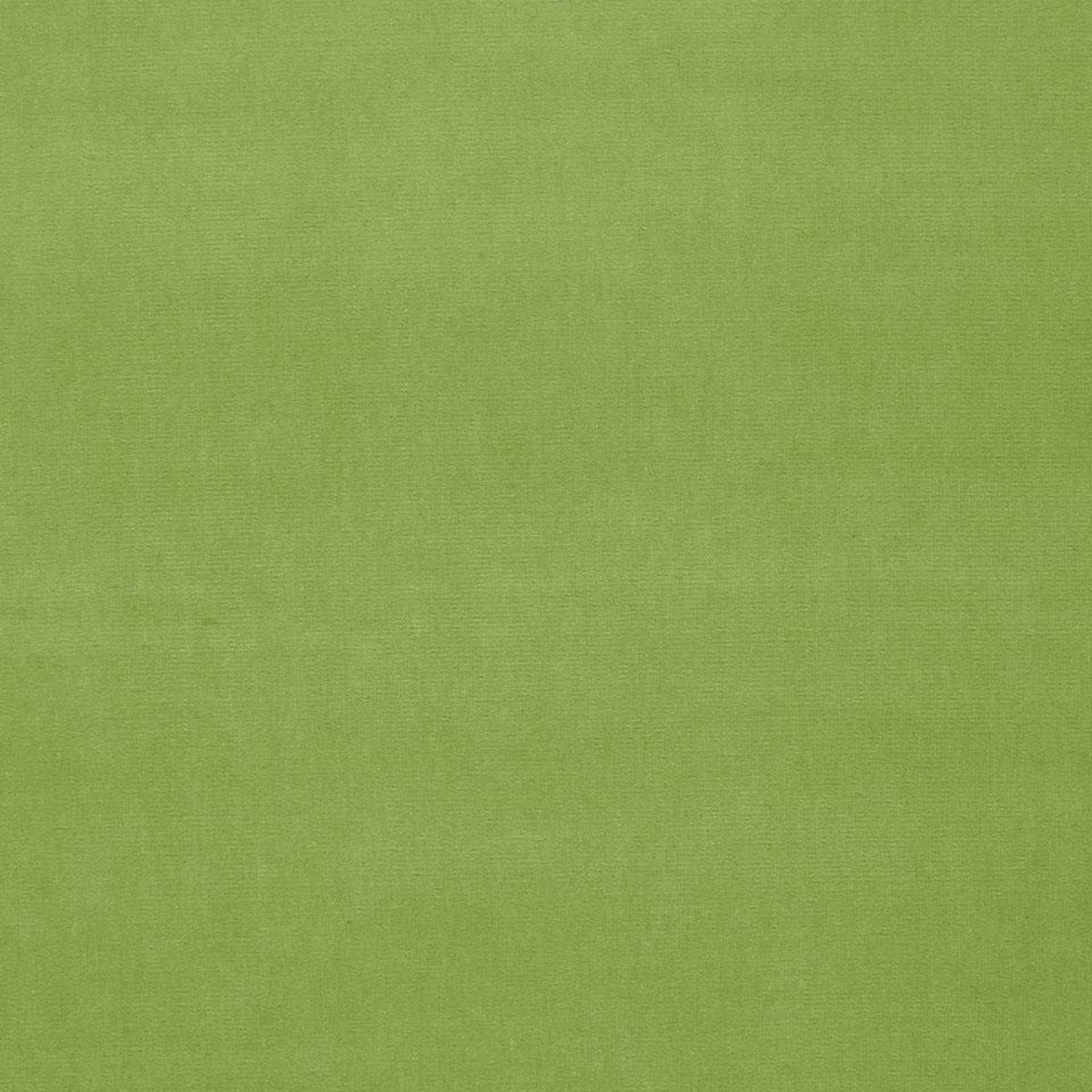 Schumacher | Gainsborough Velvet fabric - 42871