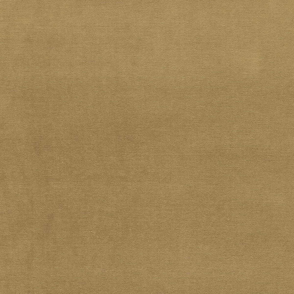 Schumacher | Gainsborough Velvet fabric - 42872