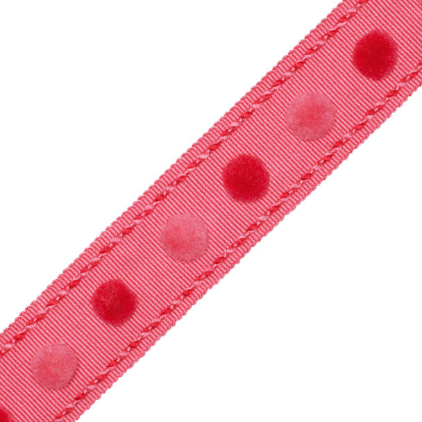 1.4" Dolce Pom Pom Border - Gumball