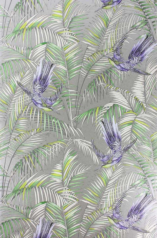 Matthew Williamson | Sunbird wallcovering - W6543-01