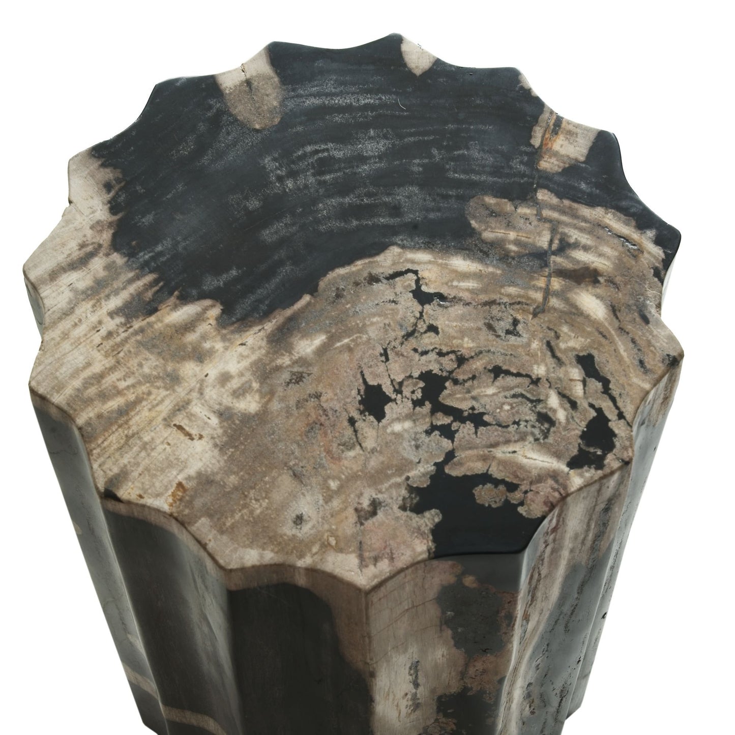 Andrew Martin | Petrified Scallop Log Side Table