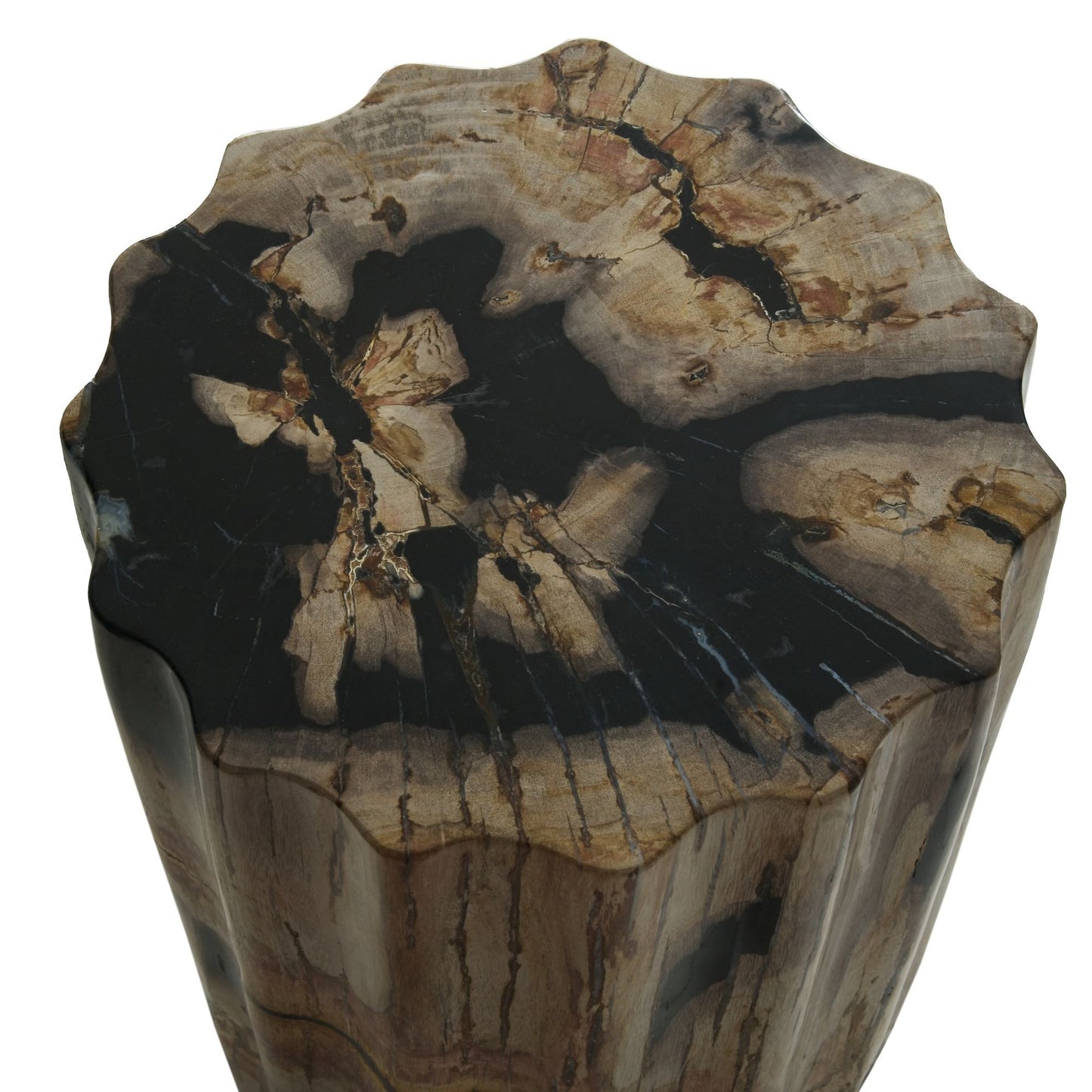 Andrew Martin | Petrified Scallop Log Side Table