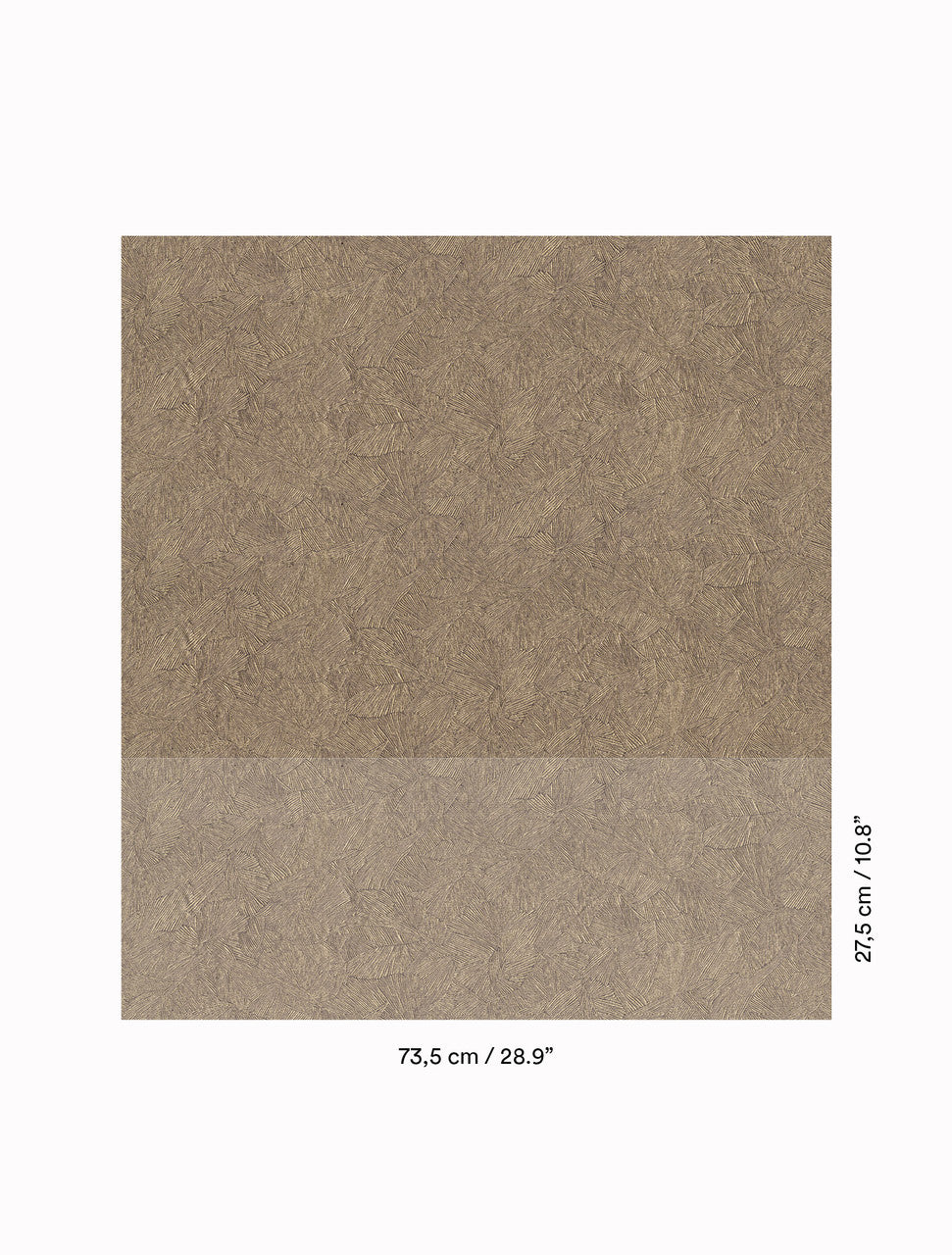 DEDAR | In Folio