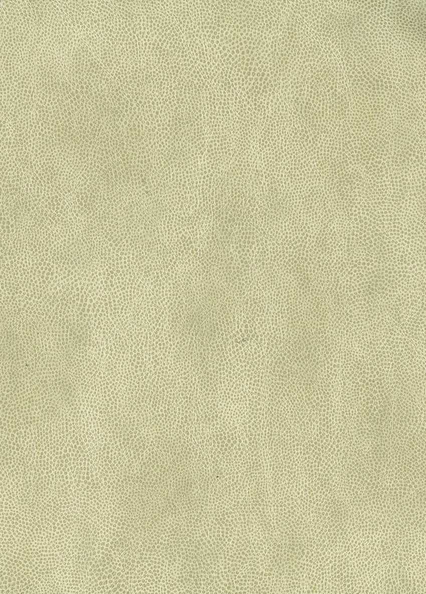 Osborne & Little | Mako wallcovering - W6331-02