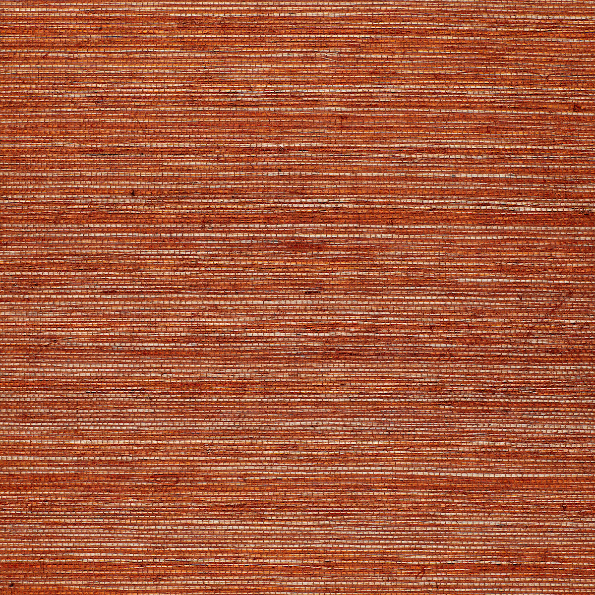 Schumacher | Strie Sisal wallcovering - 5000722