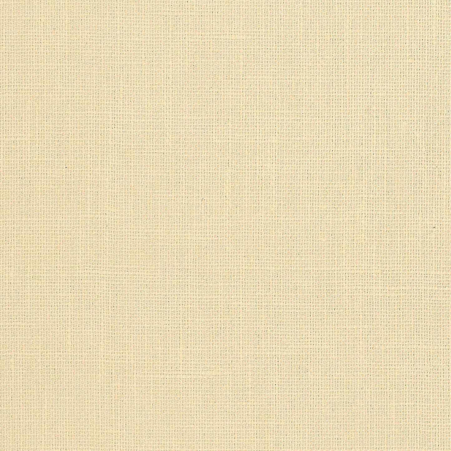 Schumacher | Adhafera Ground wallcovering - 5003580