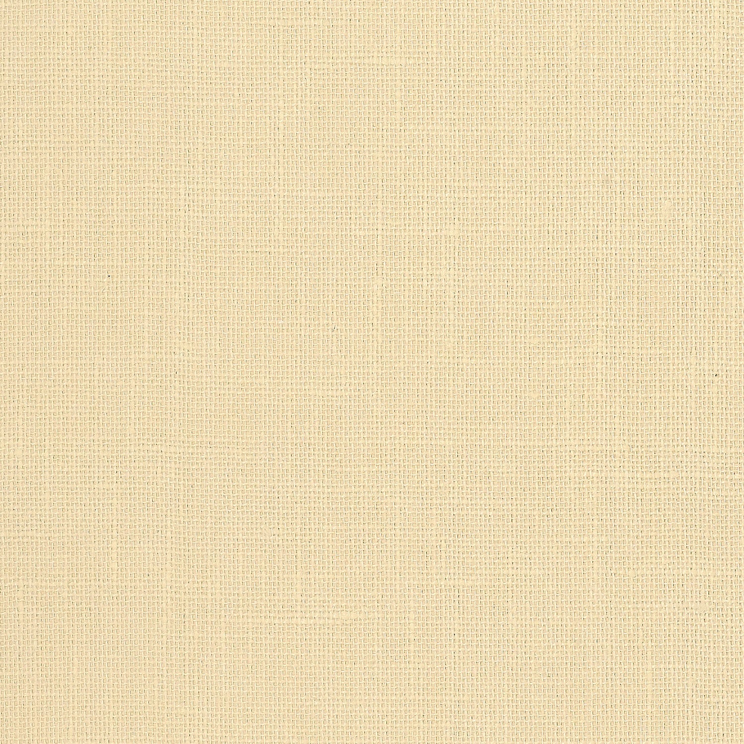 Schumacher | Adhafera Ground wallcovering - 5003580
