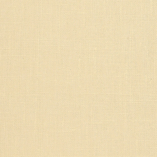 Schumacher | Adhafera Ground wallcovering - 5003580