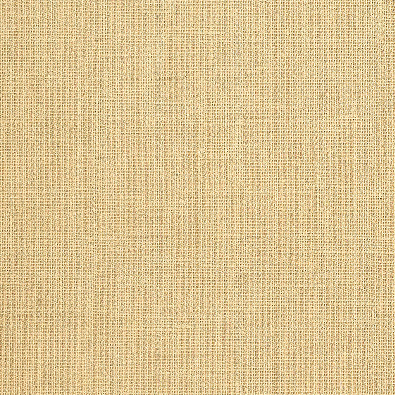Schumacher | Adhafera Ground wallcovering - 5003581