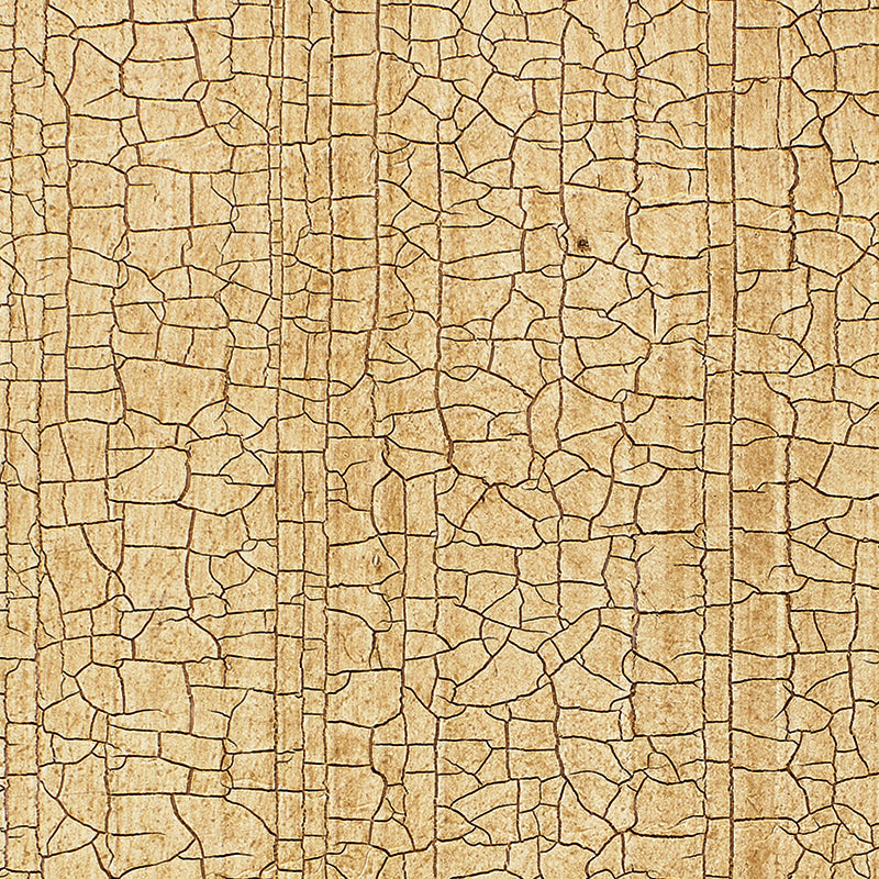 Schumacher | Masaccio Ground wallcovering - 5003760