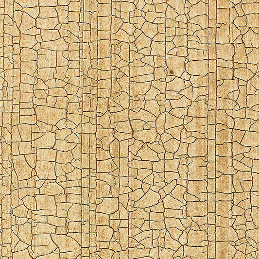 Schumacher | Masaccio Ground wallcovering - 5003760