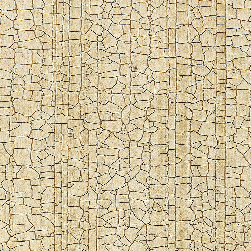Schumacher | Masaccio Ground wallcovering - 5003761