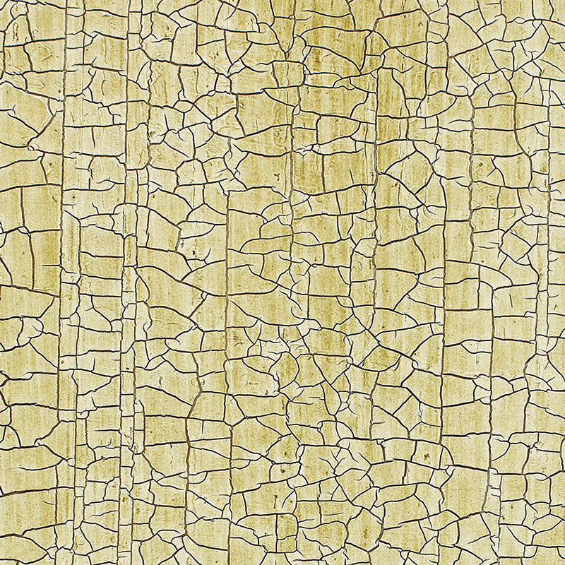 Schumacher | Masaccio Ground wallcovering - 5003762