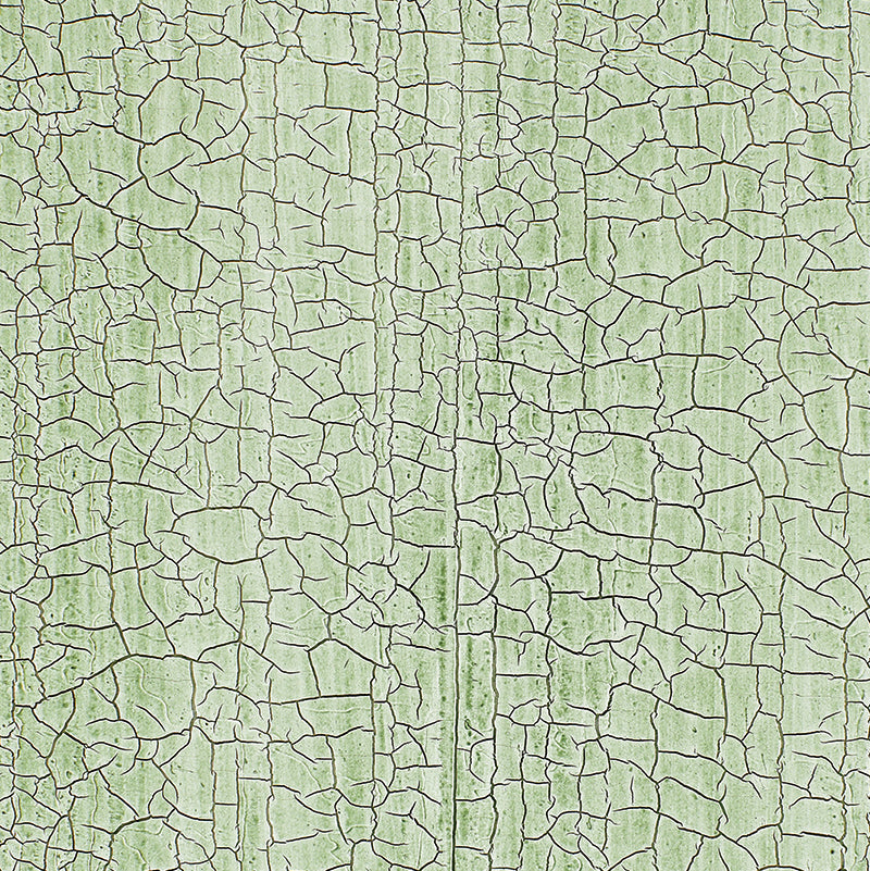 Schumacher | Masaccio Ground wallcovering - 5003763