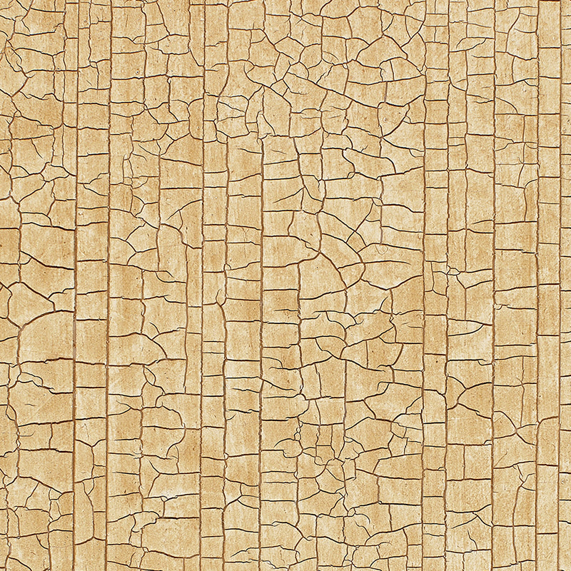 Schumacher | Masaccio Ground wallcovering - 5003764