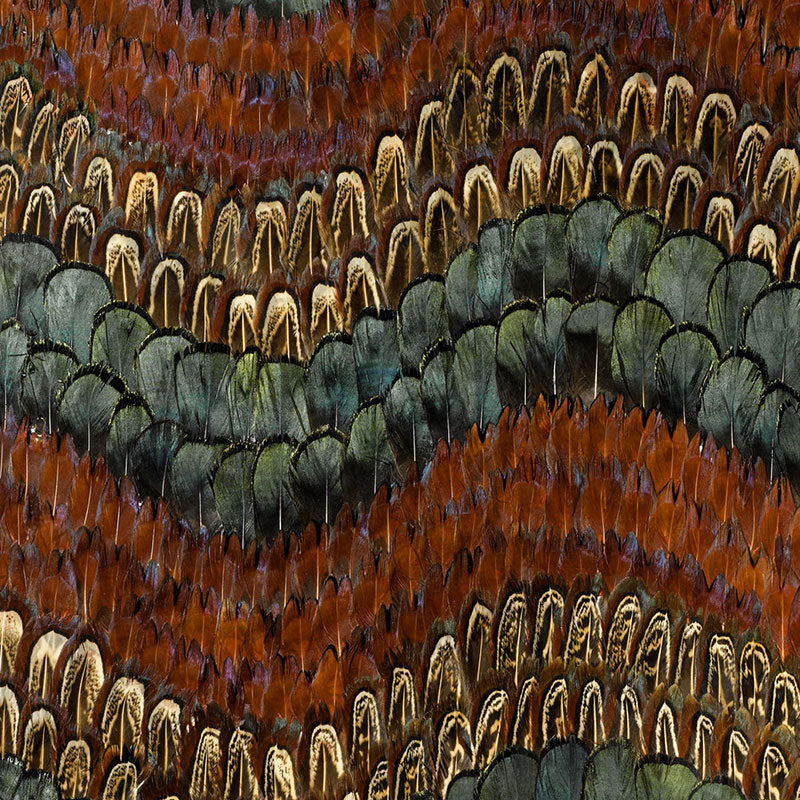 Schumacher | Biscayne wallcovering - 5003880