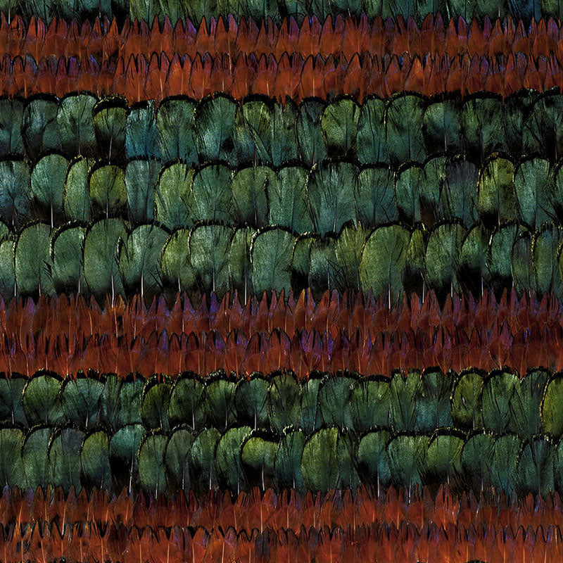 Schumacher | Grand Isle wallcovering - 5003890