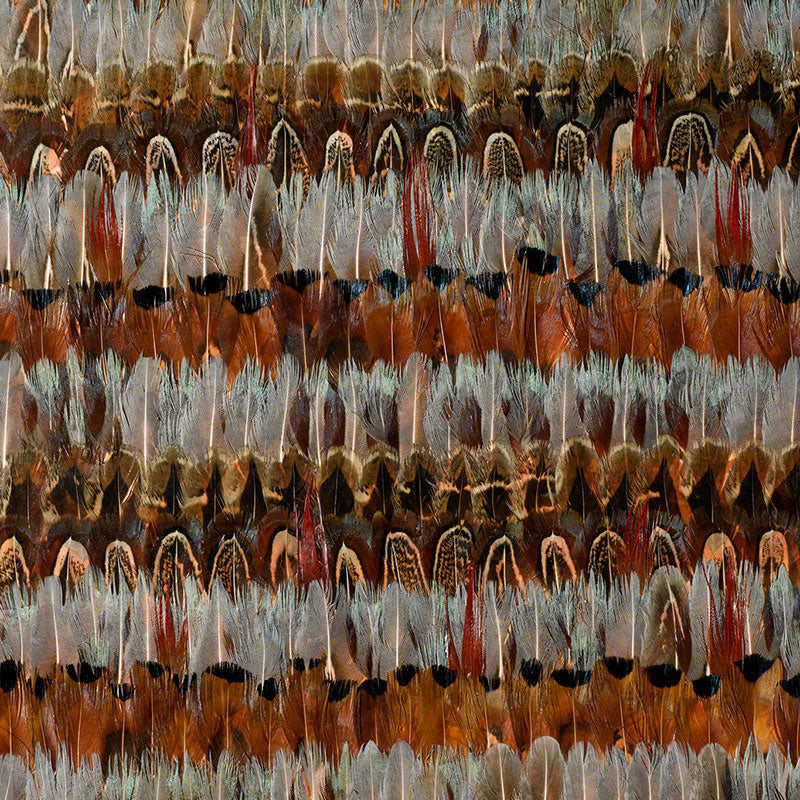 Schumacher | Wildwood wallcovering - 5003900