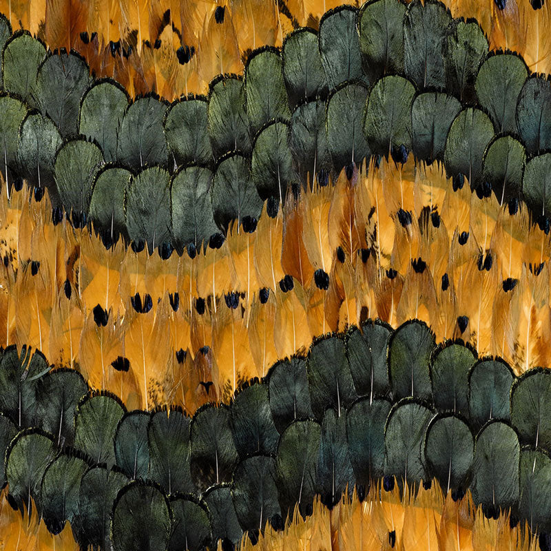 Schumacher | Golden Hill wallcovering - 5003990