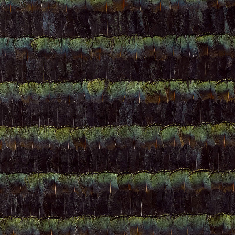 Schumacher | Bradbury wallcovering - 5004010