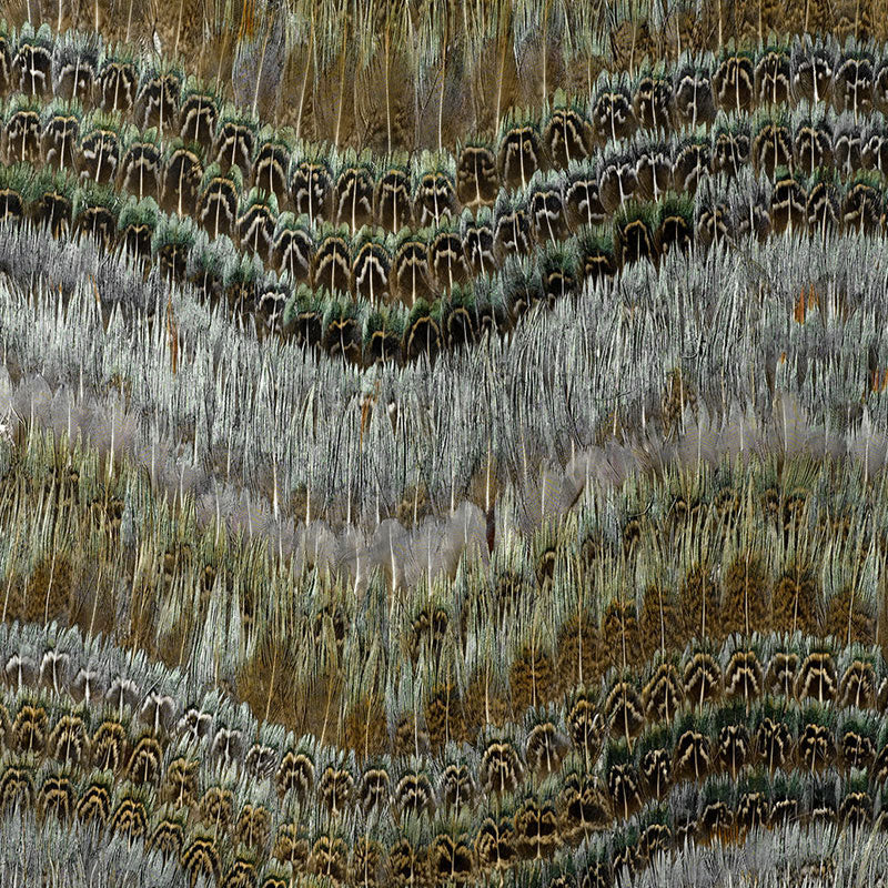 Schumacher | Clearwater wallcovering - 5004020