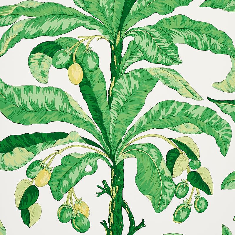 Schumacher | Blair House Palm wallcovering - 5004064