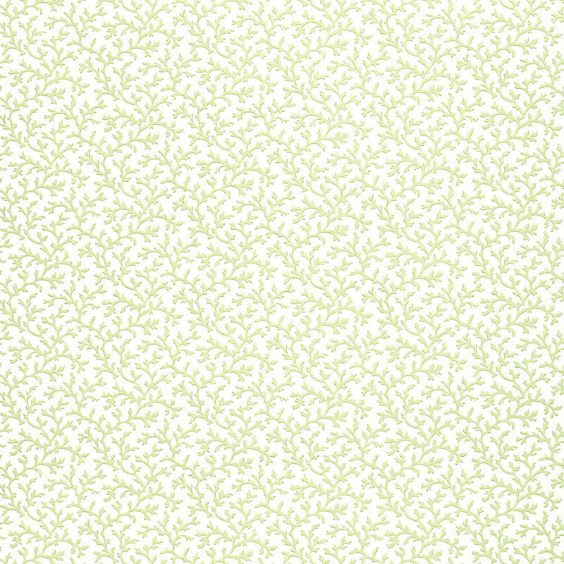 Schumacher | Coral Vine wallcovering - 5004412