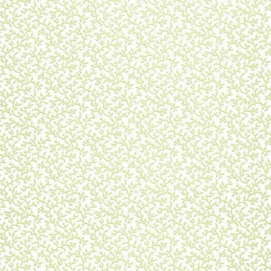 Schumacher | Coral Vine wallcovering - 5004412