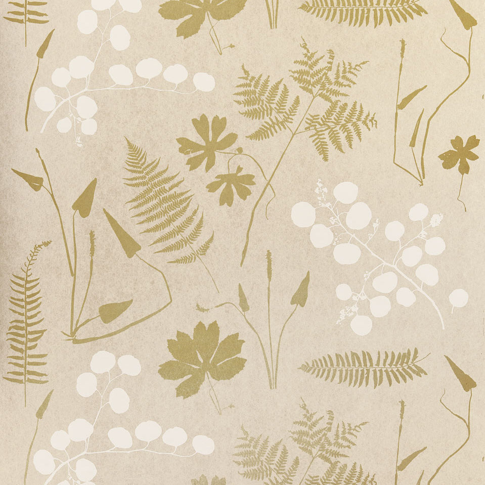 Schumacher | Modern Botanical wallcovering - 5005010