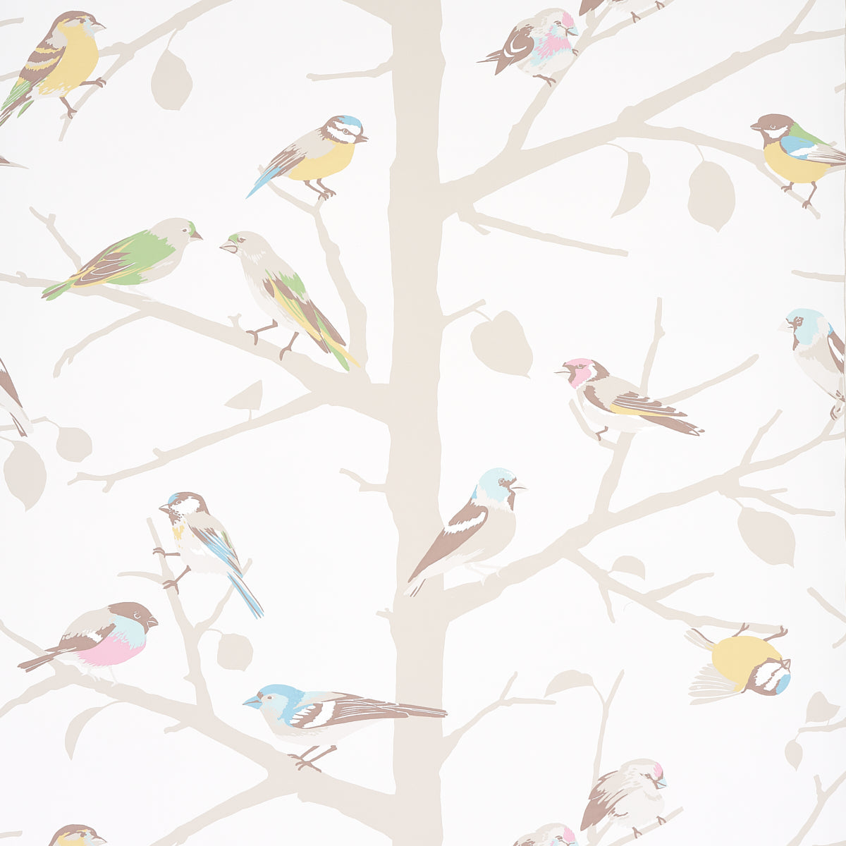 Schumacher | A-Twitter wallcovering - 5005033