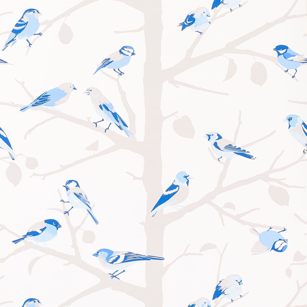 Schumacher | A-Twitter wallcovering - 5005034