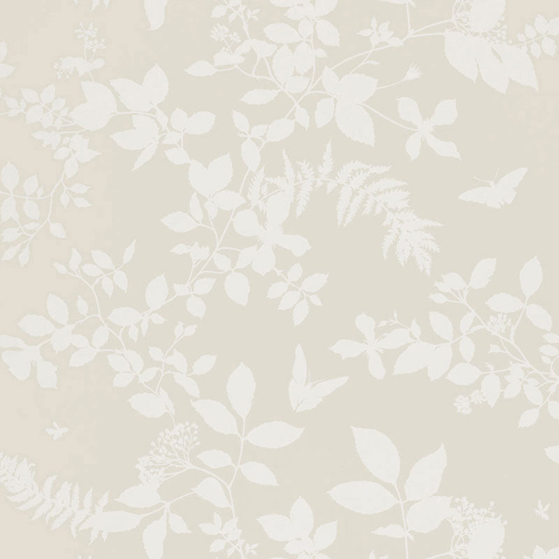 Schumacher | Shadow Vine wallcovering - 5005100