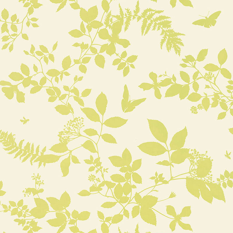 Schumacher | Shadow Vine wallcovering - 5005102