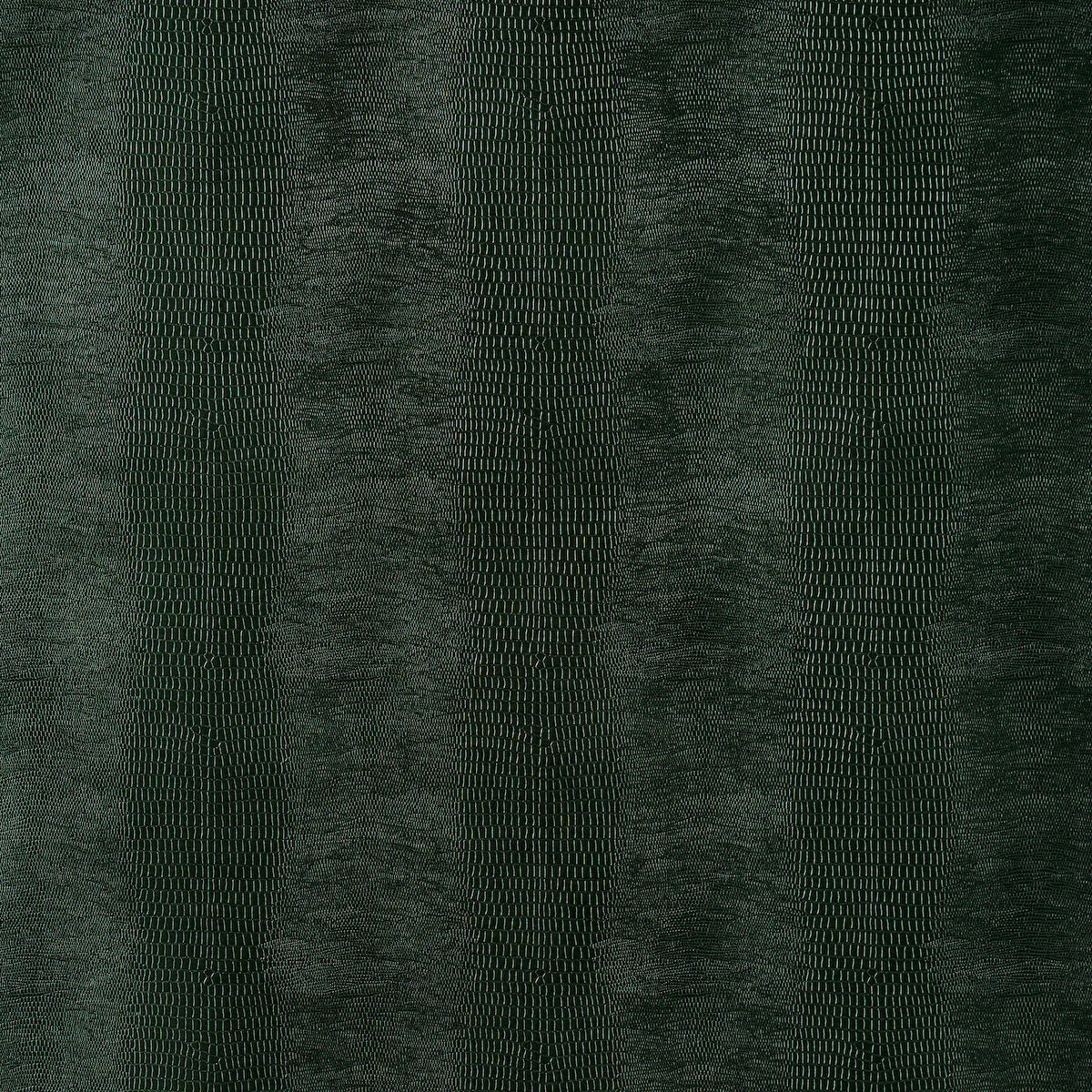 Schumacher | Komodo wallcovering - 5007342
