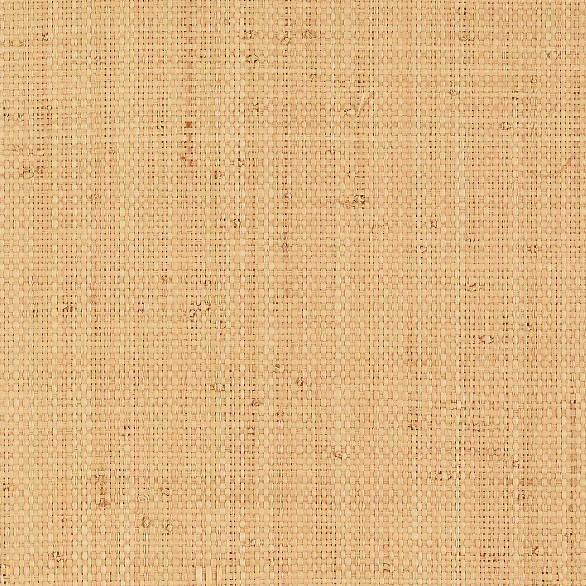 Schumacher | Nakara wallcovering - 5007940