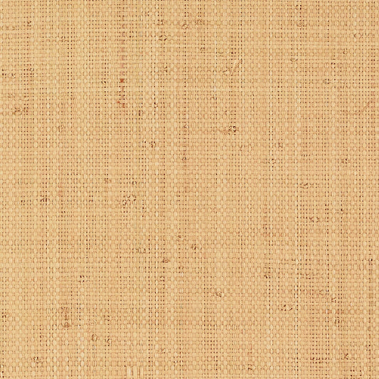 Schumacher | Nakara wallcovering - 5007940