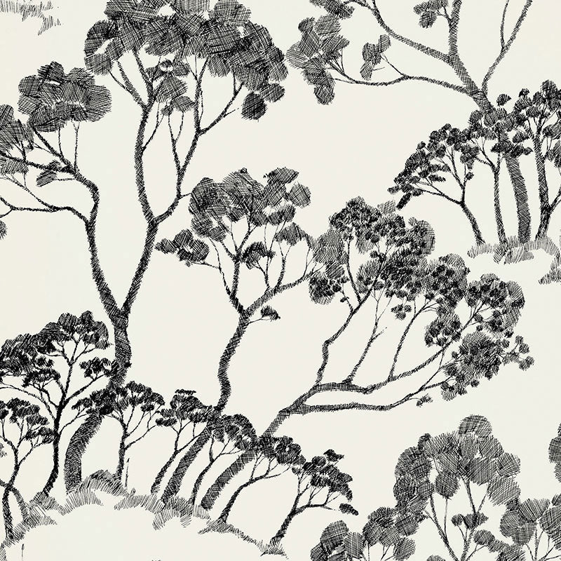 Schumacher | Timber ! wallcovering - 5007980