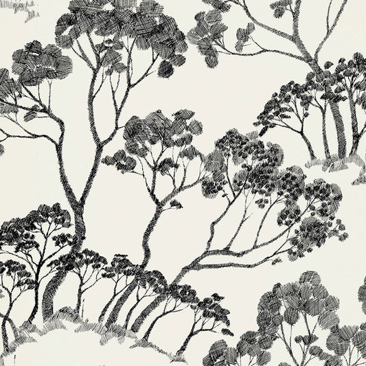 Schumacher | Timber ! wallcovering - 5007980
