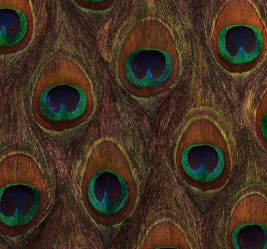 Schumacher | Peacock Ore wallcovering - 5008370