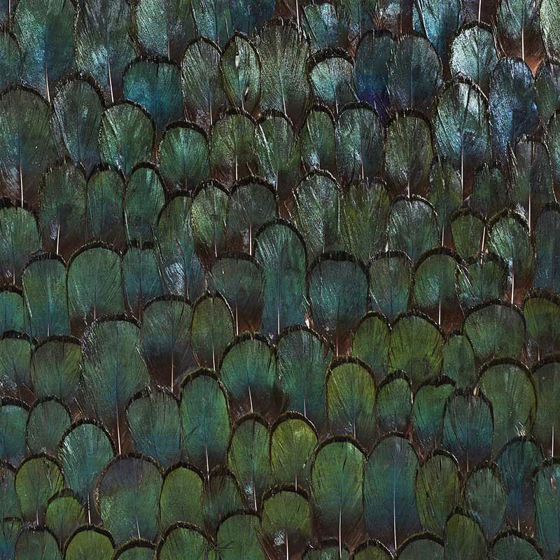 Schumacher | Jade wallcovering - 5008380