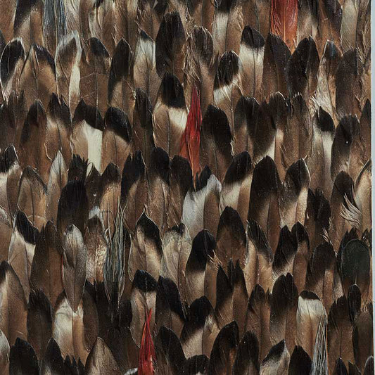Schumacher | Averlite wallcovering - 5008383