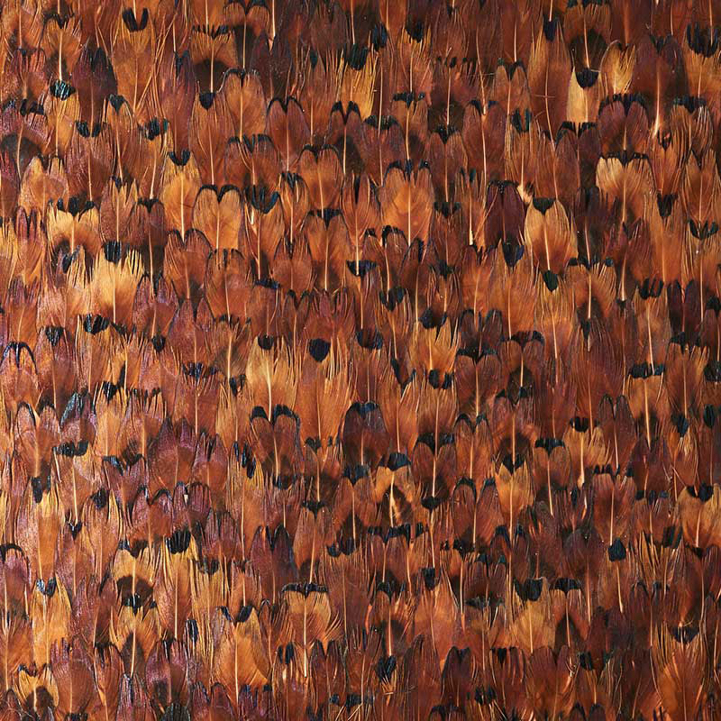 Schumacher | Copper wallcovering - 5008388